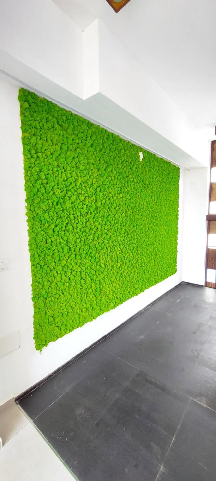 Jlune Apartment